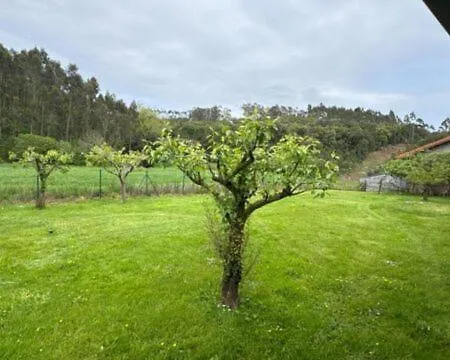 Hébergement de vacances Casa Pita Bárcena de Cicero